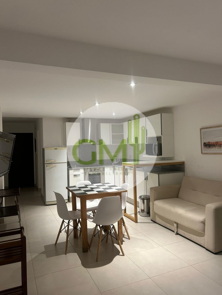 ALQUILER HERMOSO MONOAMBIENTE AMPLIO CENTRICO