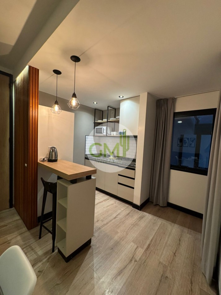 HERMOSO DEPTO UN DORM A MTS DEL PASEO GUEMES AMOBLADO