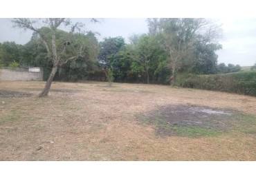 VENTA TERRENO SAN LORENZO